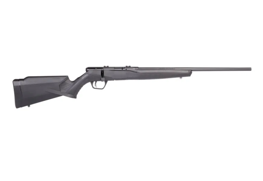 Savage Arms B17F B17 17HMR BL/SYN 21"