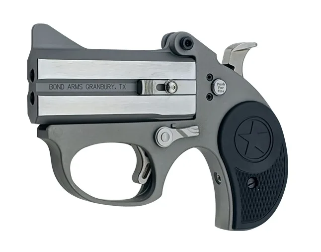 Bond Arms Stinger Rough Stainless Stinger 22LR SS 3" FS