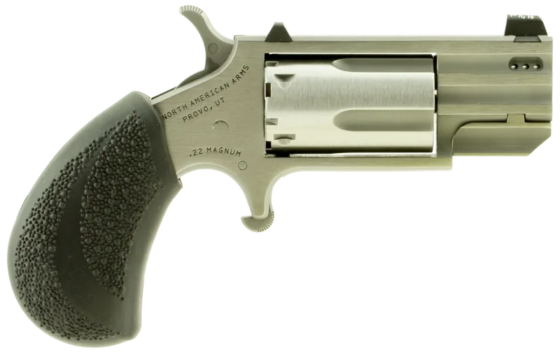 North American Arms NAA-PUG-DP Pug 22MAG REV 1" SS Ported